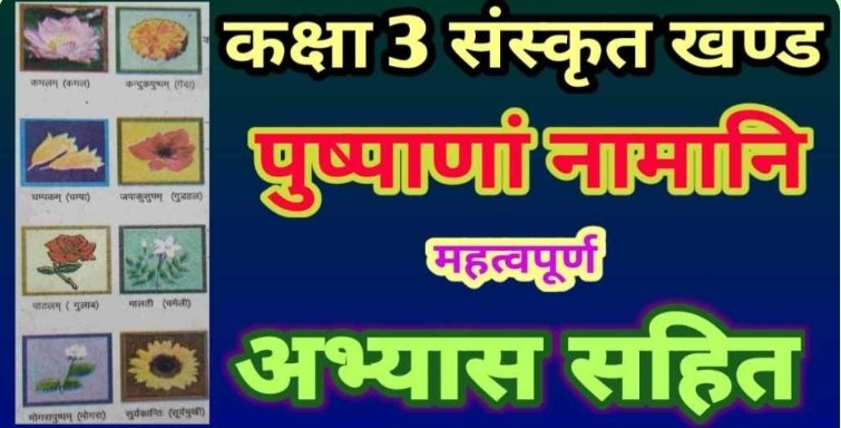 पाठ 3 'अपू के साथ ढाई साल (सत्यजित राय)' 11th  हिंदी (आरोह भाग 1 गद्य खंड) || पाठ का सारांश एवं संपूर्ण अभ्यास (प्रश्न उत्तर)