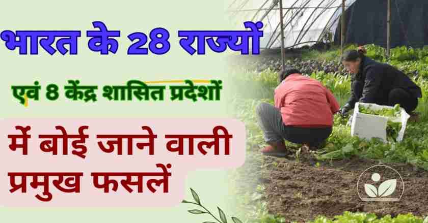 हिंदी का विकास और उद्भव