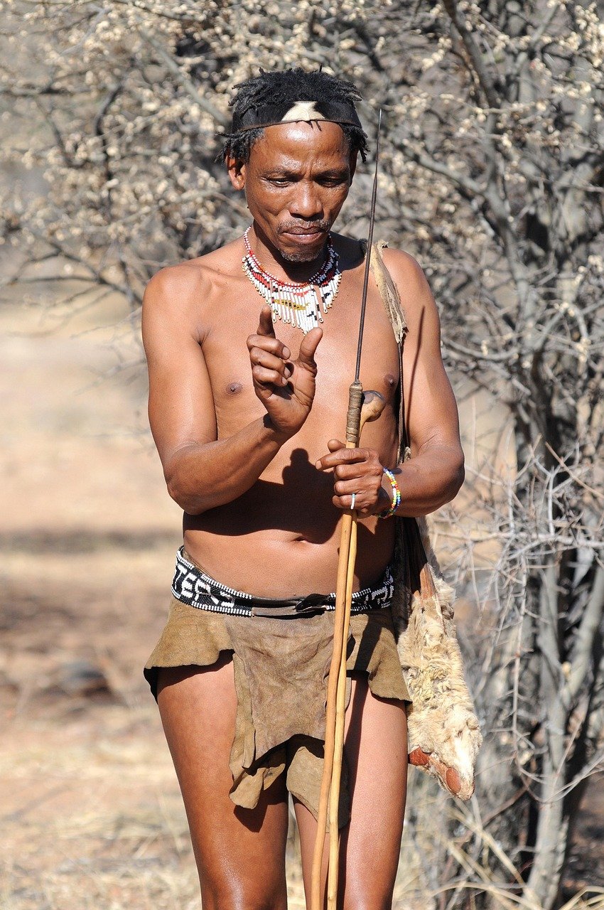 botswana-2219374_1280.jpg